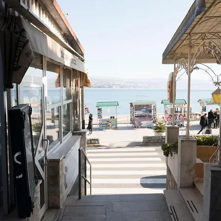 Garden Oasis By The Artspace